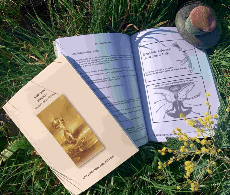 Le manuel des praticien de Reiki 1 ouvert sur l'herbe avec des fleurs jaunes et une pierre